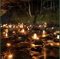 Abbey of the Arts online retreat:  Samhain