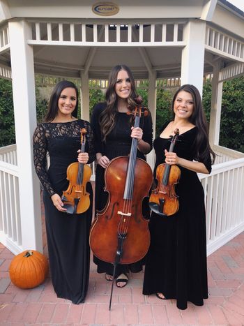 String trio for Fall Dinner party at private residence

