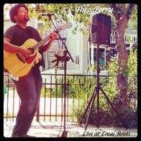 Theo Perry Solo Acoustic live in Powell, Ohio at Local Roots 