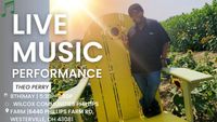 Theo Perry Solo Acoustic - Live at Wilcox Communities Summer Concert series  |Phillips Farm Westerville