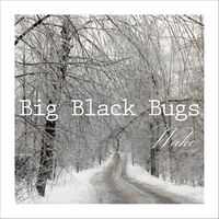 Wake by Big Black Bugs