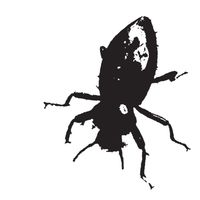 E.P. by Big Black Bugs