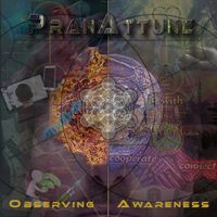 Observing Awareness by PranAttune 