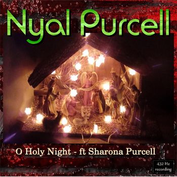 Nyal Purcell - O Holy Night
