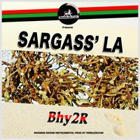 Sargass' la by Bhy2r