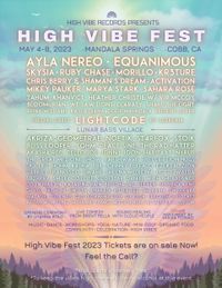 CelloJoe @ High Vibe Fest 