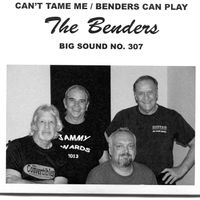 Can't Tame Me by The Benders
