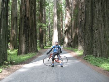 Riding the Tour of the Unknown Coast century route, Humboldt CA.
