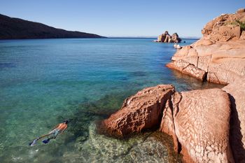 Snorkling Isla Espiritu Santo in the Sea of Cortez.
