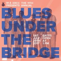 The Paladins play Blues Under The Bridge Festival!