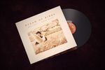Ocean of Birds: Vinyl