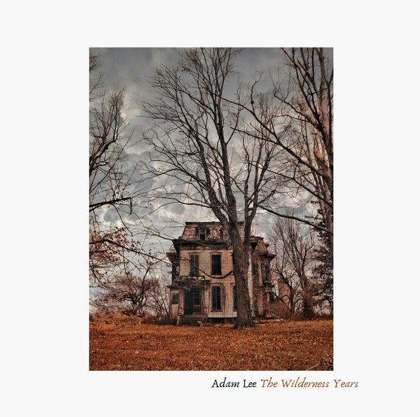 The Wilderness Years: CD
