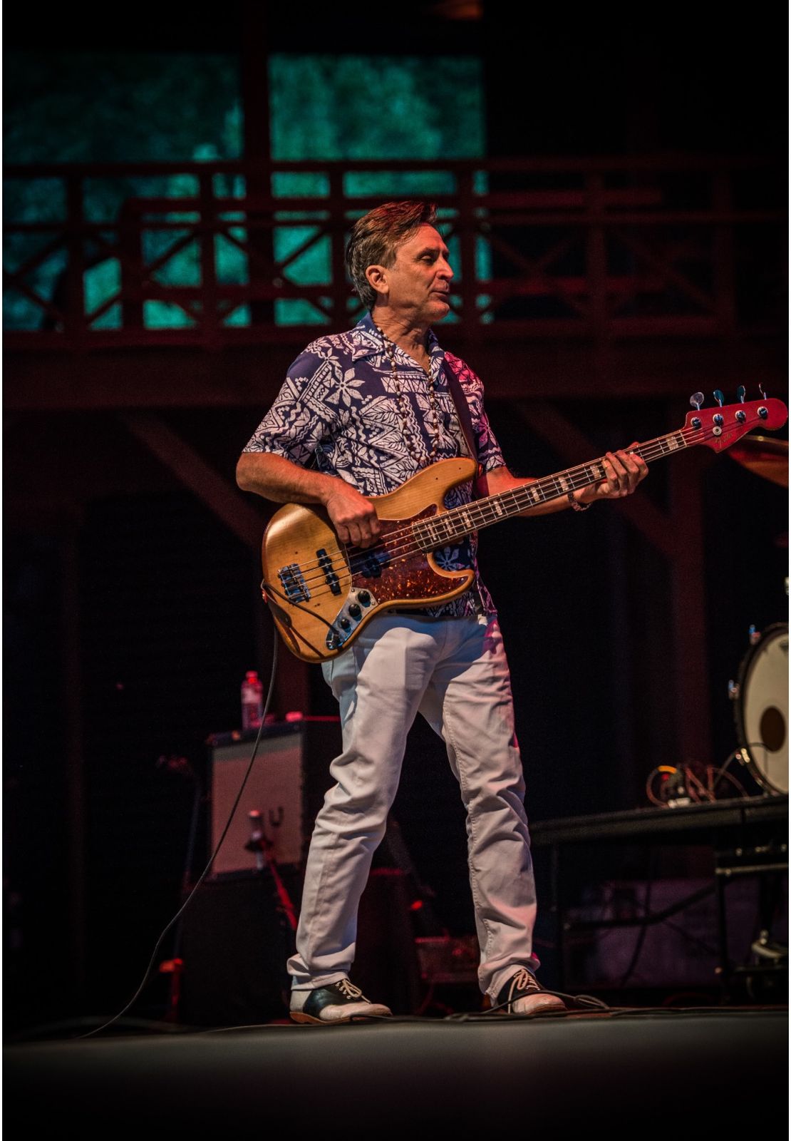 Phil Dirt and the Dozers Photos