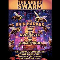 The Great Swarm - Jive Hive Live Series!