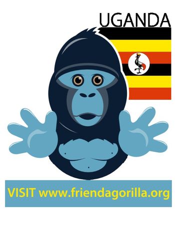 Friend a Gorilla (adopted a gorilla called malaika)
