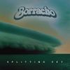 BORRACHO - SPLITTING SKY: CD