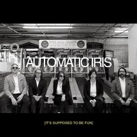 It's Supposed To Be Fun by Automatic Iris