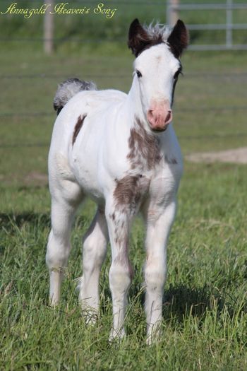 2 weeks old
