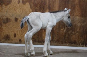 New born
