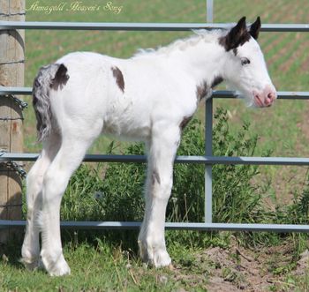 5 days old
