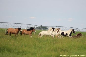 Field of Dreams.... July 5, 2021
