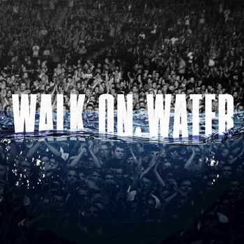 Eminem - Walk on Water (Violin)
