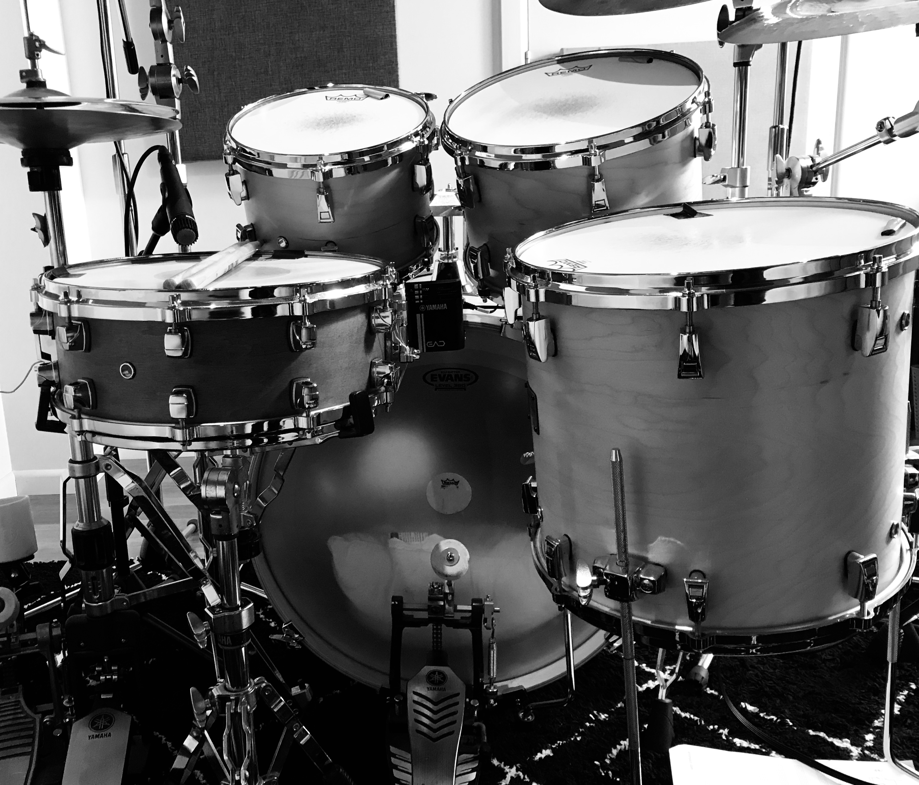 Mark Charters Drummer mark charters