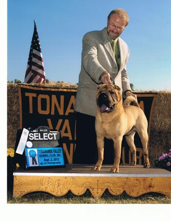 Charlie Tonawanda show, Select Dog, 4 point Major
