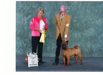 CH Jade East Caviar at Rich In Rolls .. Sarnia show.  July 6, 2013. Group 3rd and NEW CHAMPION with PH Thomas Curley
