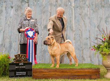 DIAMOND goes BEST IN SHOW under Esteemed Judge Letitia Bett  at Temiskaming show, Sept 2015.  Plus he went Group 1st all 6 shows :)
