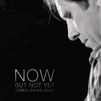 Now But Not Yet by Gareth Davies-Jones