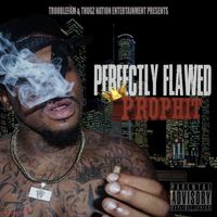 Perfectly Flawed  by TroubleFam Prophit 