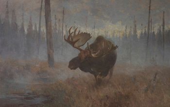 Carl Rungus - "Charging Moose" - Gift from Philanthropist August Heckscher
