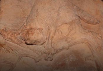 Edward Kemeys - "Terra Cotta Sable" - Sometime between 1863 and 1898

