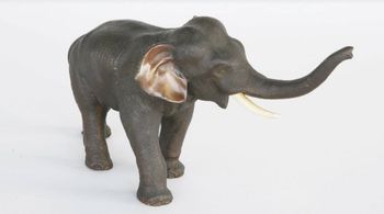 Bronze Sculter of an Elephant - Artist Unknown - Purchased By TR  between1884 - 1919
