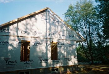 west side - bedroom windows
