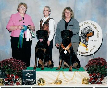 CH OTCH Phantom Wood Halle v. Bluespring UDX (on left) co-owned by Francie Deloney and Karla Niessing winning High Combined. On the right, Phantom Wood Kafe au Lait TD (Kona) earning her RN title owned by Karla Niessing. Kona is Halle's daughter.
