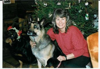Christmas at Phantom Wood - Lola, Greta (the un-Rottweiler) and Jem
