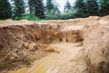 steps to the basement dug
