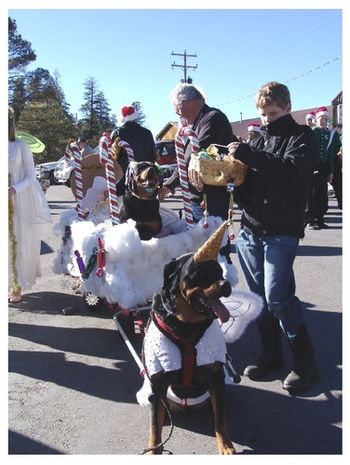 Jimi and Sophie in the Christmas parade. They won 1st place in the Large Animal division. Hoorah Jimi and Sophie!
