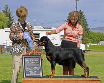 Best Puppy in Group - Nicola Valley KC.
