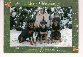 Rottweilers L to R - Quin (11 mo.) Delta (13 1/2 yrs.) and Mick (9 yrs.) owned by Janet and Ken Benson.
