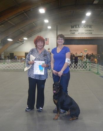 Phazer taking 1st place at the Medallion Rottweiler Club Specialty Show with a 196 1/2 for her first CD leg. Proud owner/handler Joan Mazat (who became a proud mama of a beautiful baby boy a few weeks earlier!) Phazer is from the River x Lilas litter.
