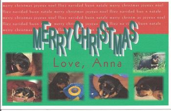 Card from Carmen Hurley, Anna's breeder, featuring little Anna herself!
