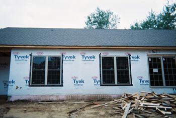 windows in back of house
