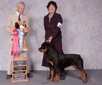 Group 2 - Best Puppy in Group - Froser Valley Dog Fanciers.
