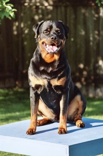 Duncan on the pause table
