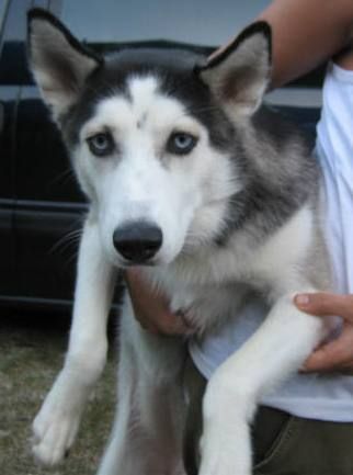 Young Princess Terra's beautiful blue eyes!

