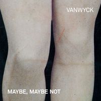 Maybe, Maybe Not by VanWyck