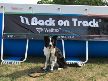 June 2017 first dock jumping competition
